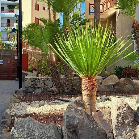 Casa Bohemia شقة *
