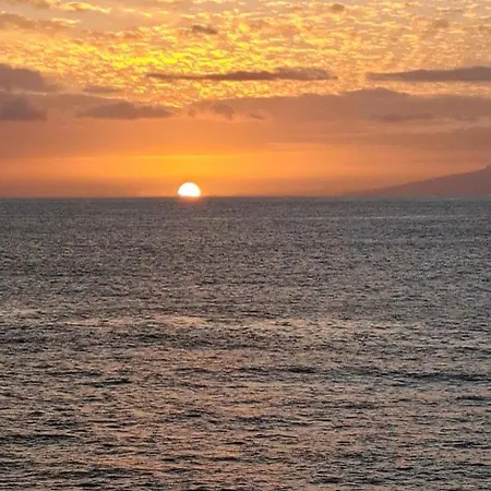 Appartement Casa Bohemia *